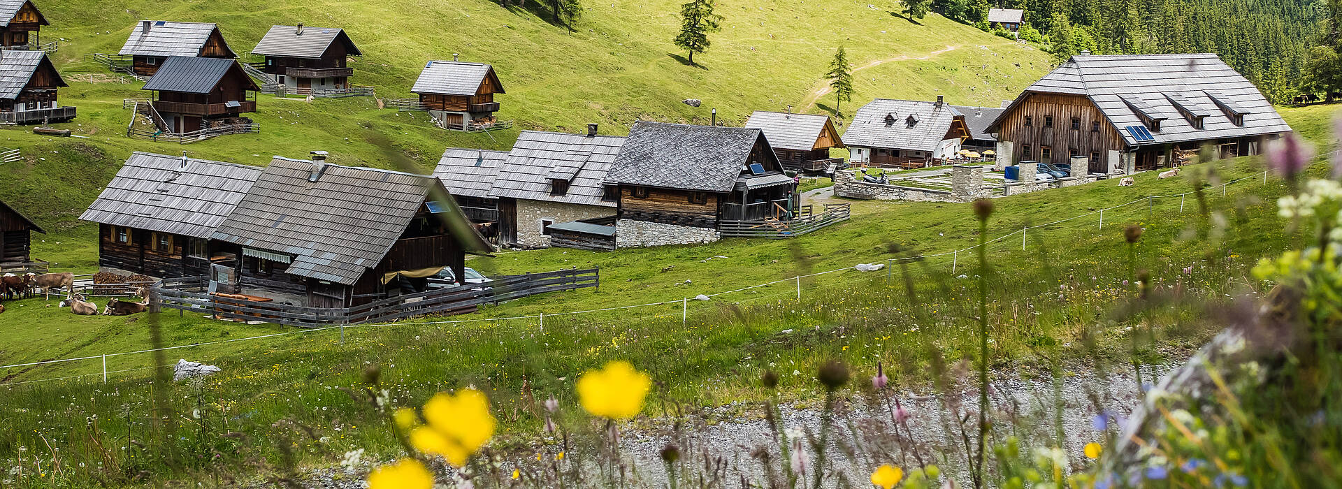 Karnische Milchstrasse Dellacher Almdorf